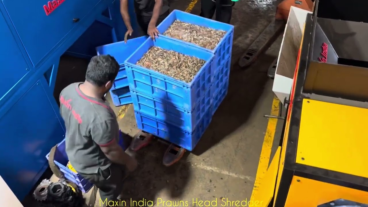 Shrimp shredder, shrimp head waste shredding machine, Prawn waste shredding machine #shredding