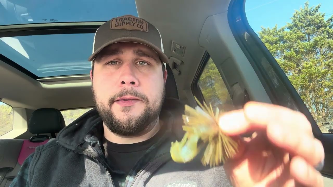 Learn to catch MORE FISH || DAILY uploading starts TODAY on this channel 