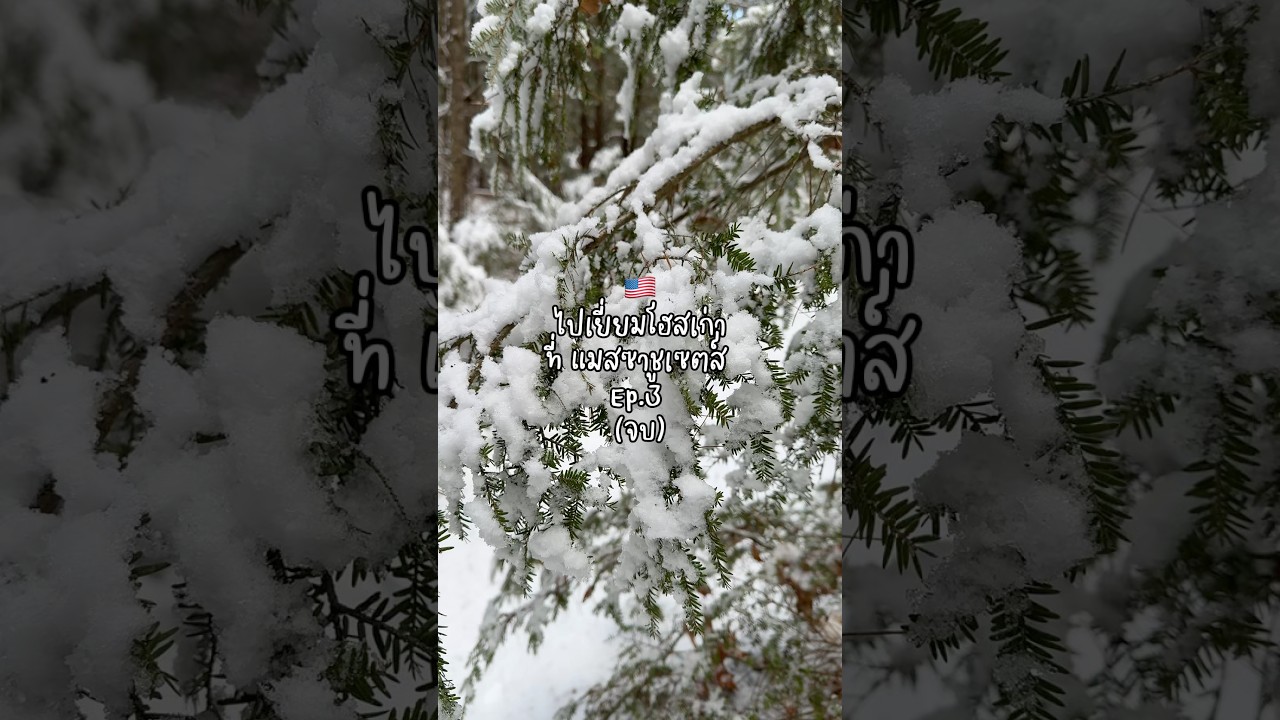 ไปเยี่ยมโฮสเก่าep.3(จบ)🇺🇸