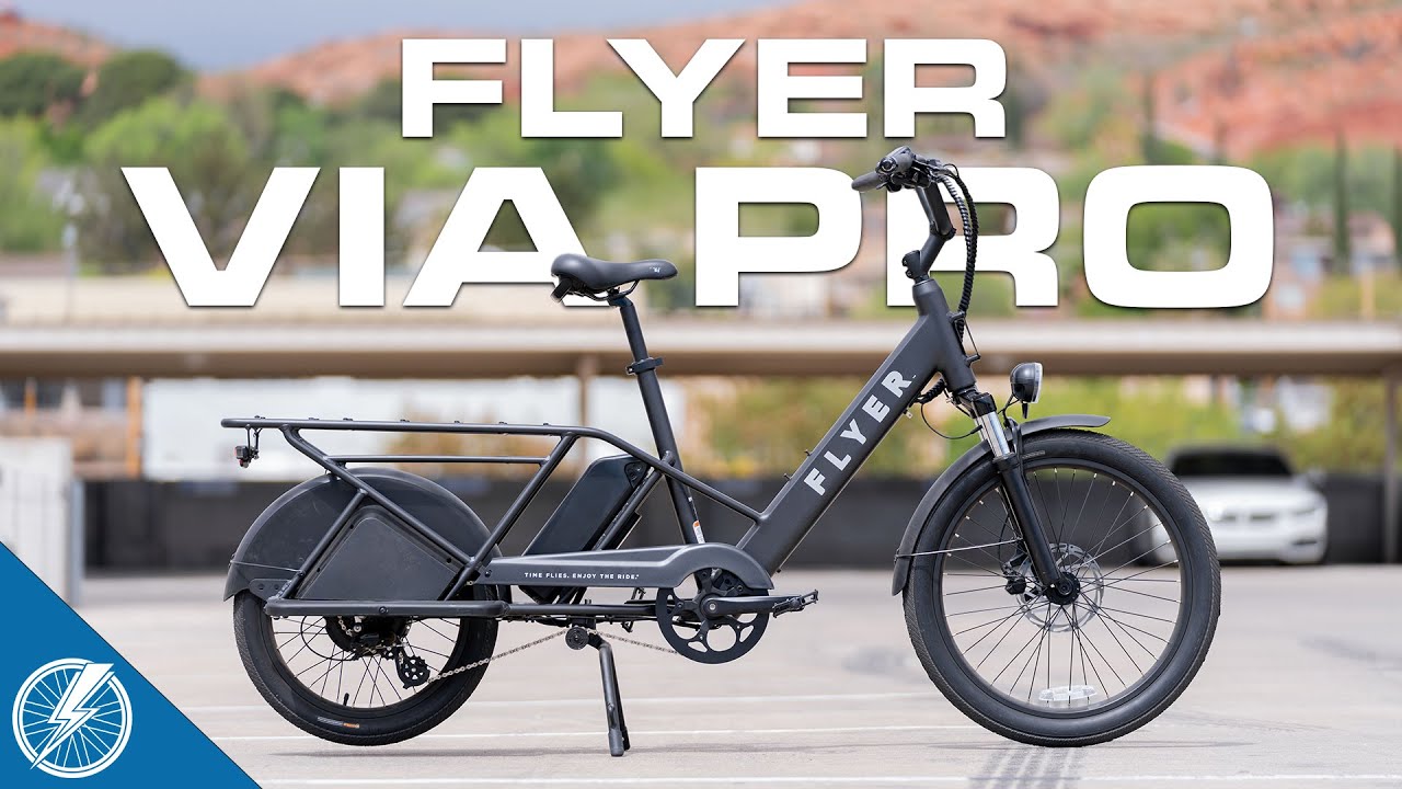 Flyer Via Pro Review | A Two-Wheeled Wagon For Carrying Kids & Cargo