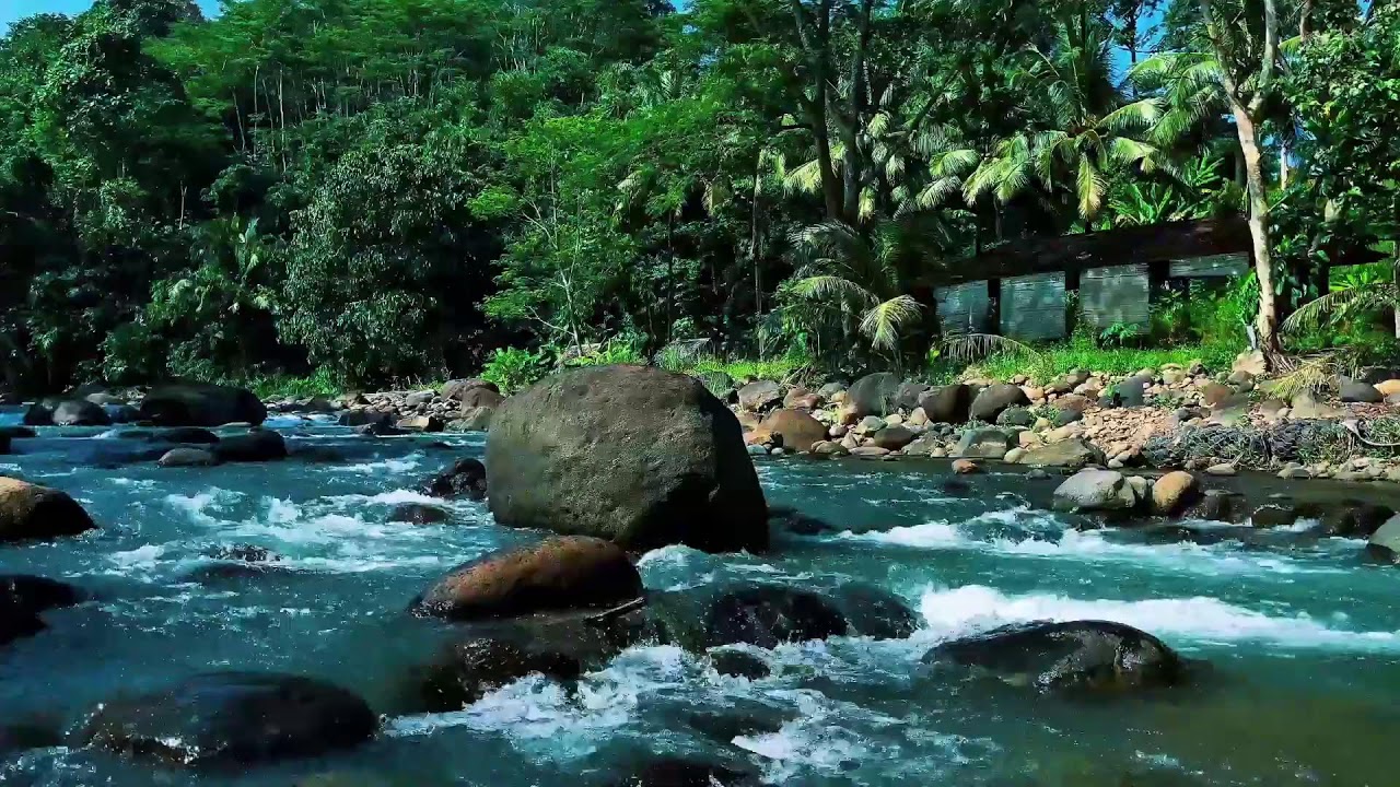 Jungle River with Giant Boulder – Nature Sounds for Study Focus, Mental Clarity & Calm Energy