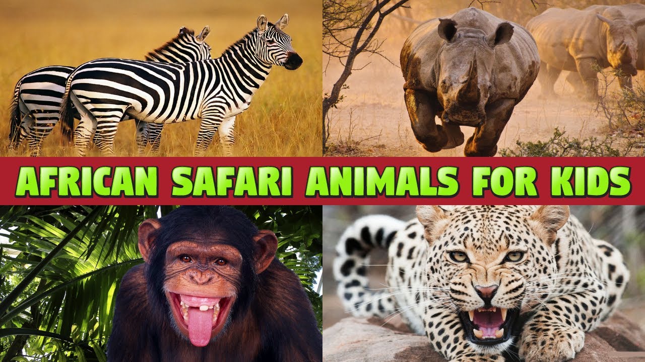 AFRICAN SAFARI ANIMALS FOR KIDS - EXPLORE SAFARI WITH THESE WILD ANIMALS