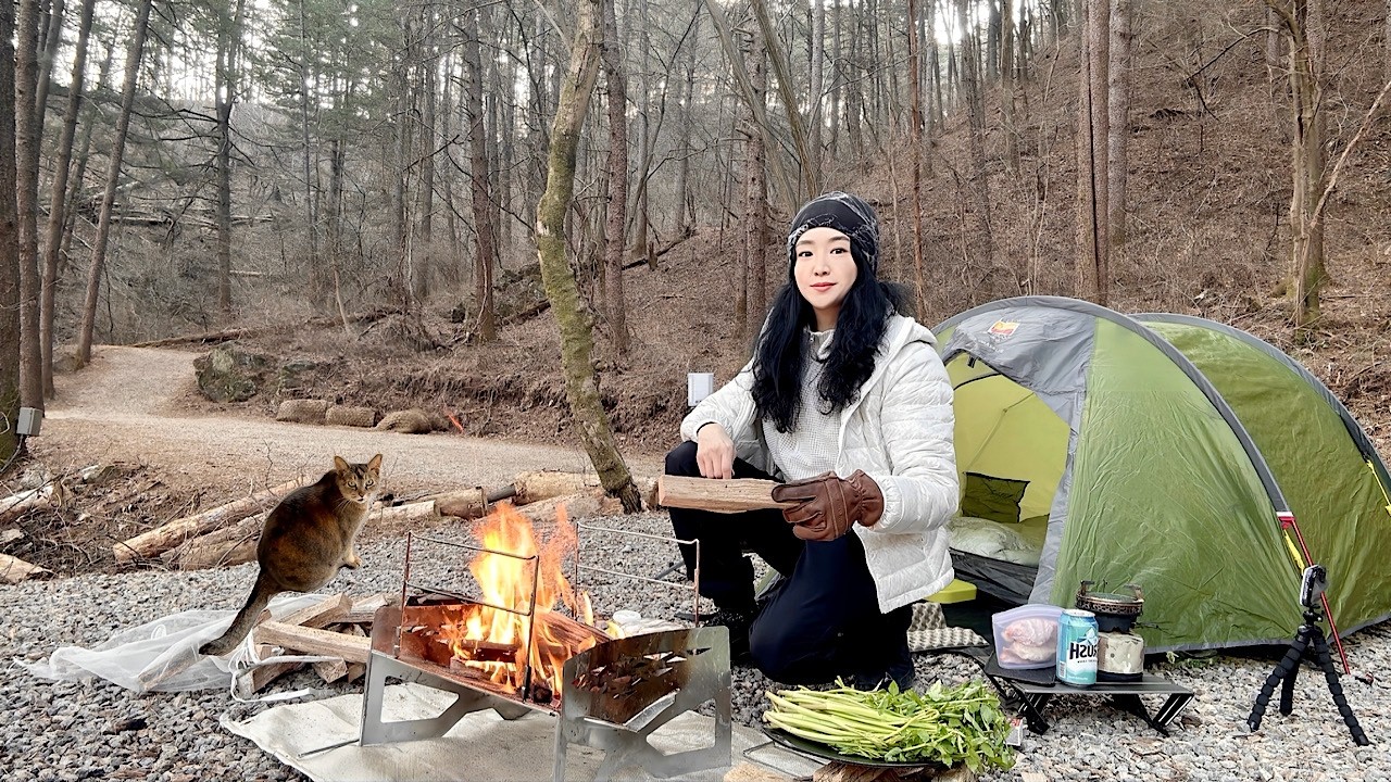 Кемпинг в одиночку | Кемпинг с котом в лесу | Свиная грудинка | Лесной кемпинг | Кемпинговая кухня