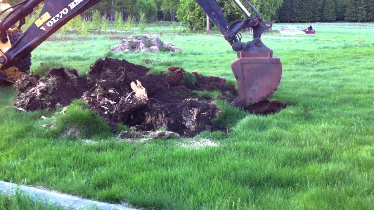 Volvo BM 6300 picking up a oversized maple tree root