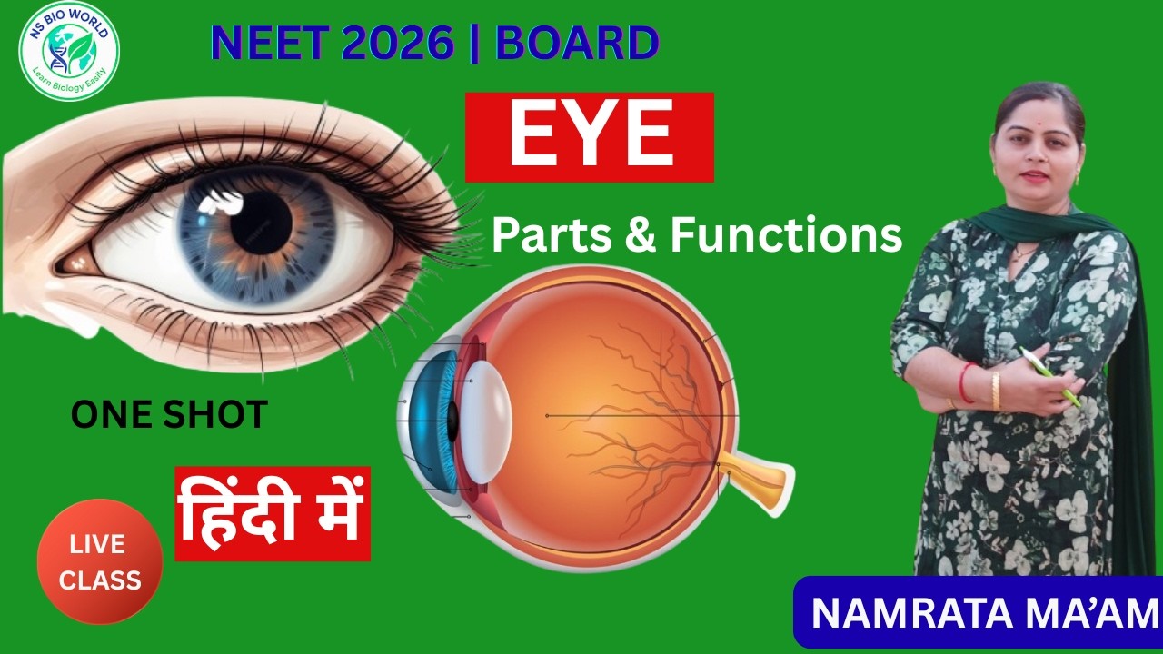 Human Eye Structure | Eye Anatomy in Hindi | Class 10, 11 Biology | NEET & Board