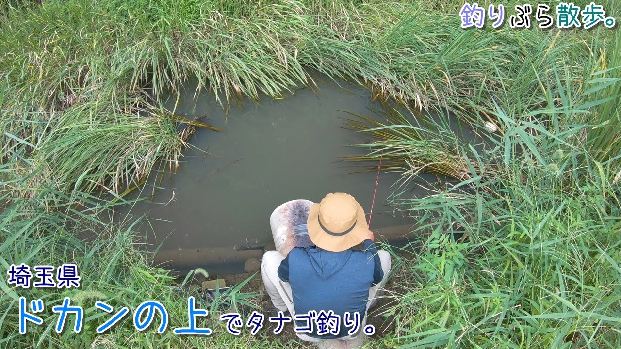 タナゴ釣りが楽しいシーズンですよ！！   埼玉県 ドカンの上でタナゴ釣り。
