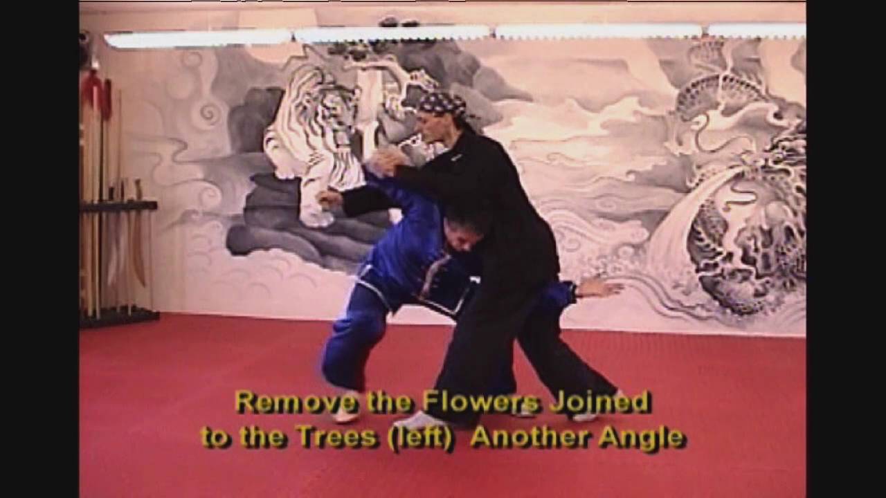 Jiang Rong Qiao's Daughter Baguazhang (Rare Footage)