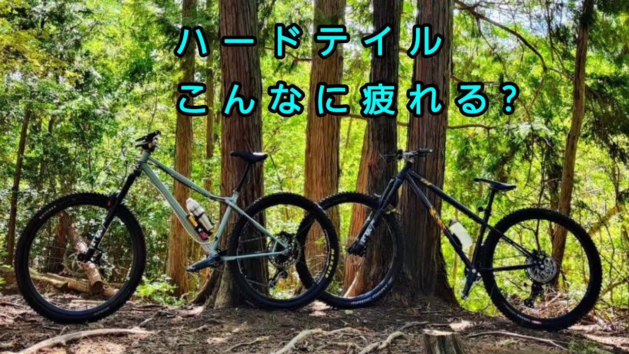これは修行ですか?