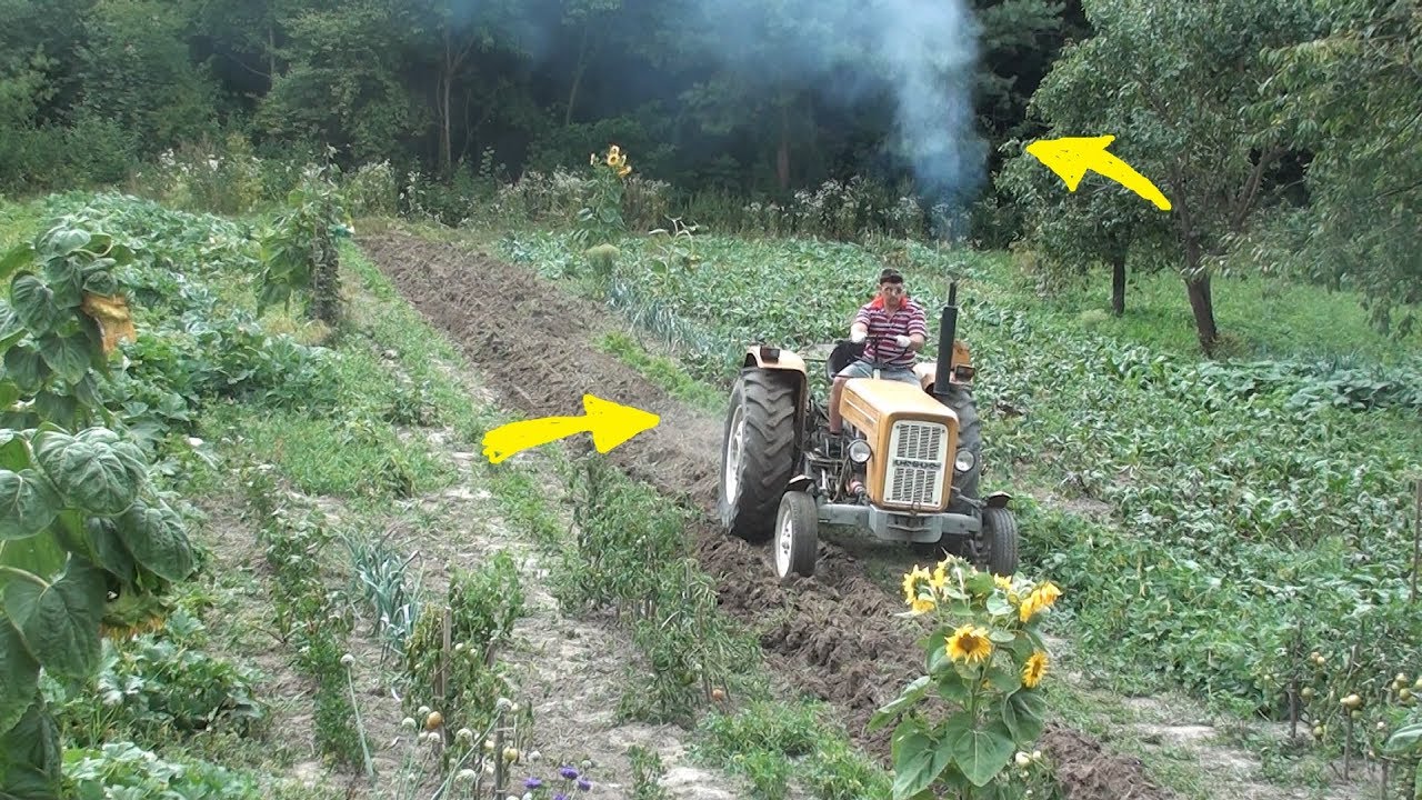 Test pługa / naprawa kosiarki spalinowej / warzywnictwo