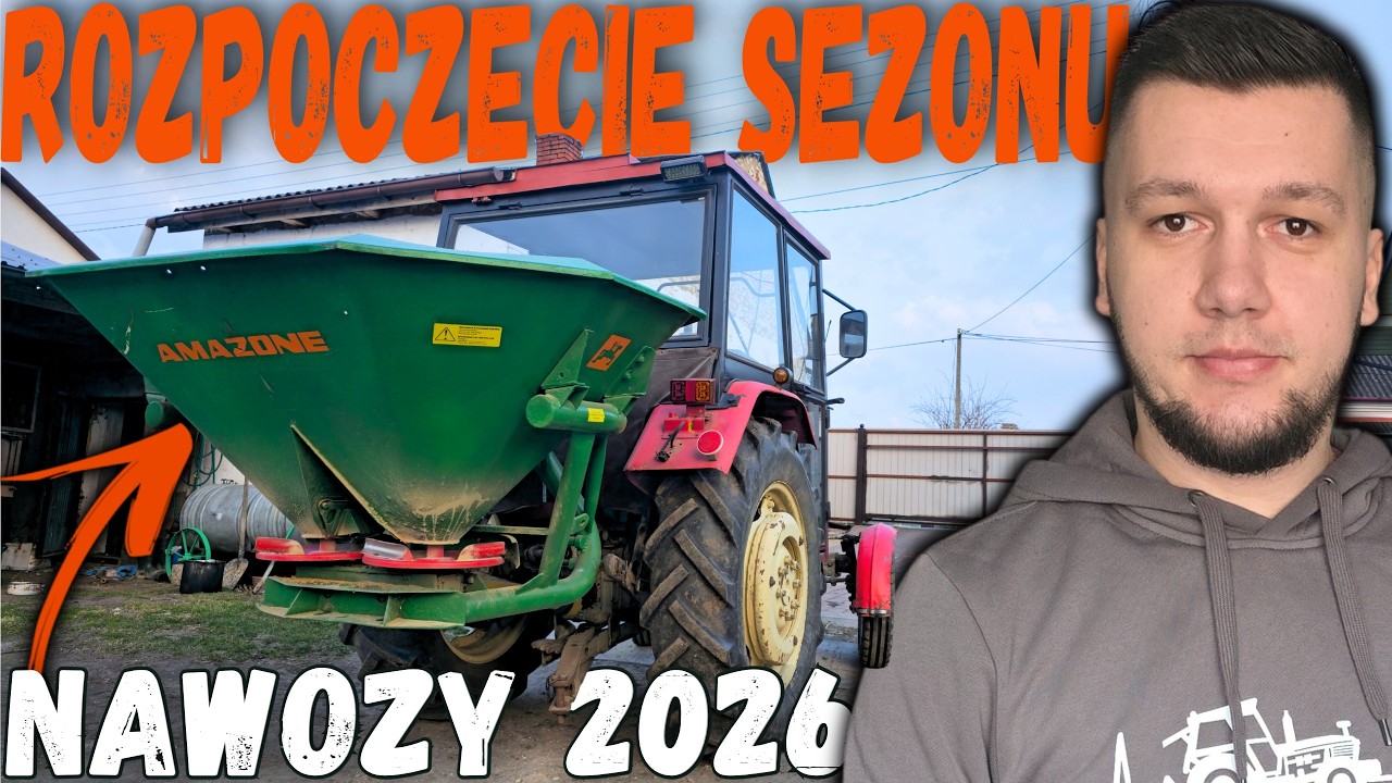 ROZSIEWANIE NAWOZU NA PSZENICE ! 😍[4K] URSUS 330M & AMAZONE ZAE 602🚜★