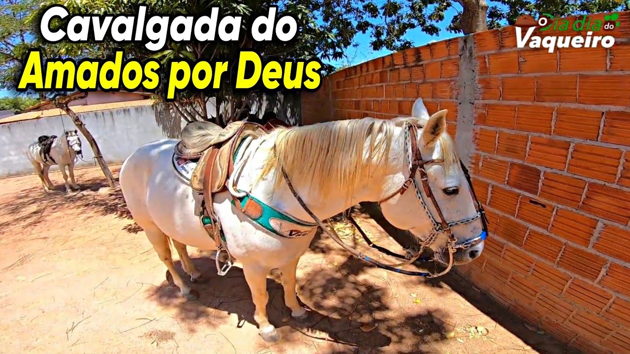 CAVALGADA DO GRUPO AMADOS POR DEUS EM CANDIBA BAHIA | O DIA DIA DO VAQUEIRO 