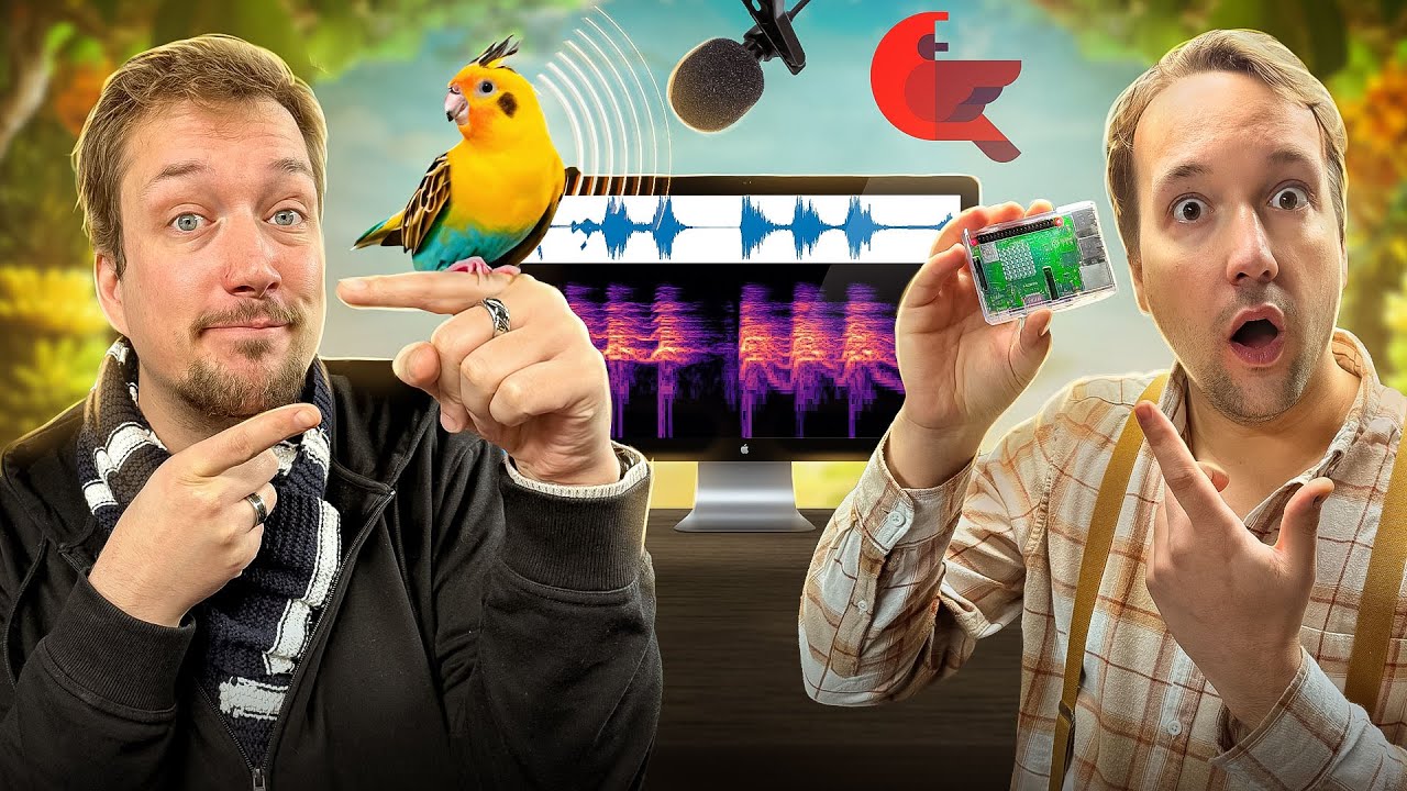 IA pour la Biodiversit&eacute; ! BirdNET-Pi trouve TOUS les OISEAUX 🐥