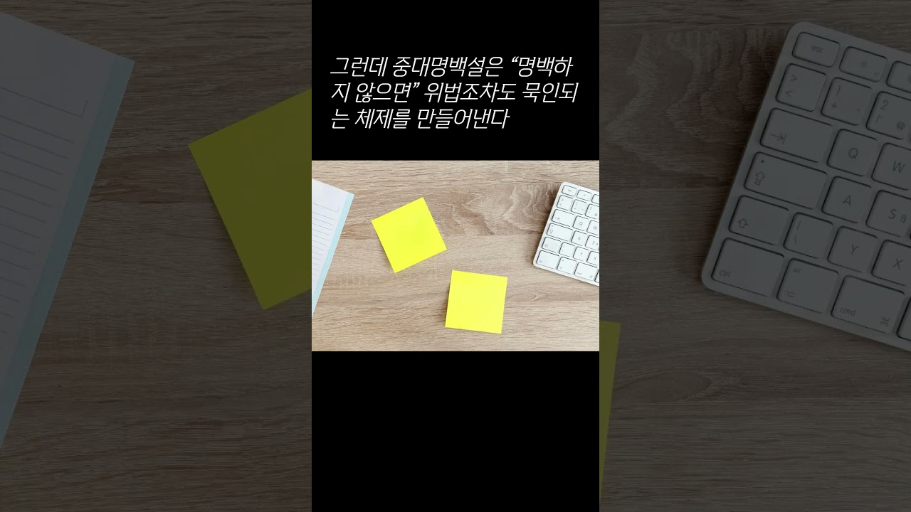 오토 마이어와 한국 대법원의 &ldquo;중대&middot;명백설