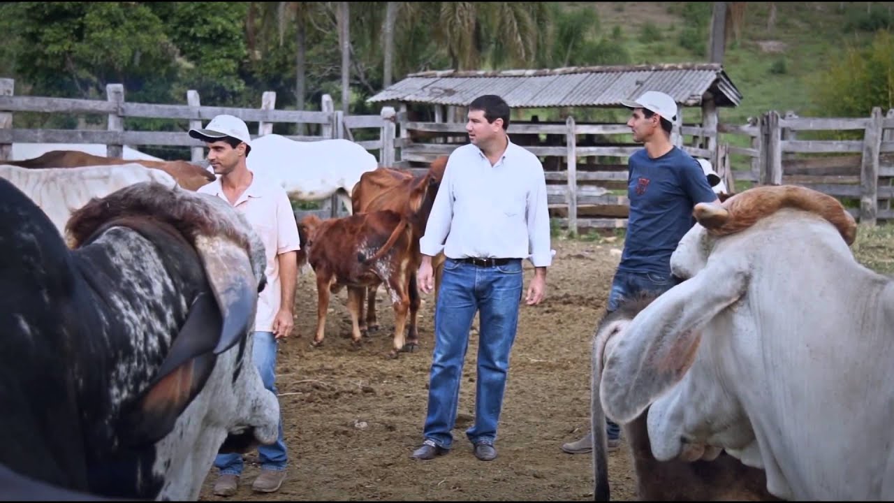 31/Jan: Três irmãos. Um único sonho - Provai e Vede | Igreja Adventista