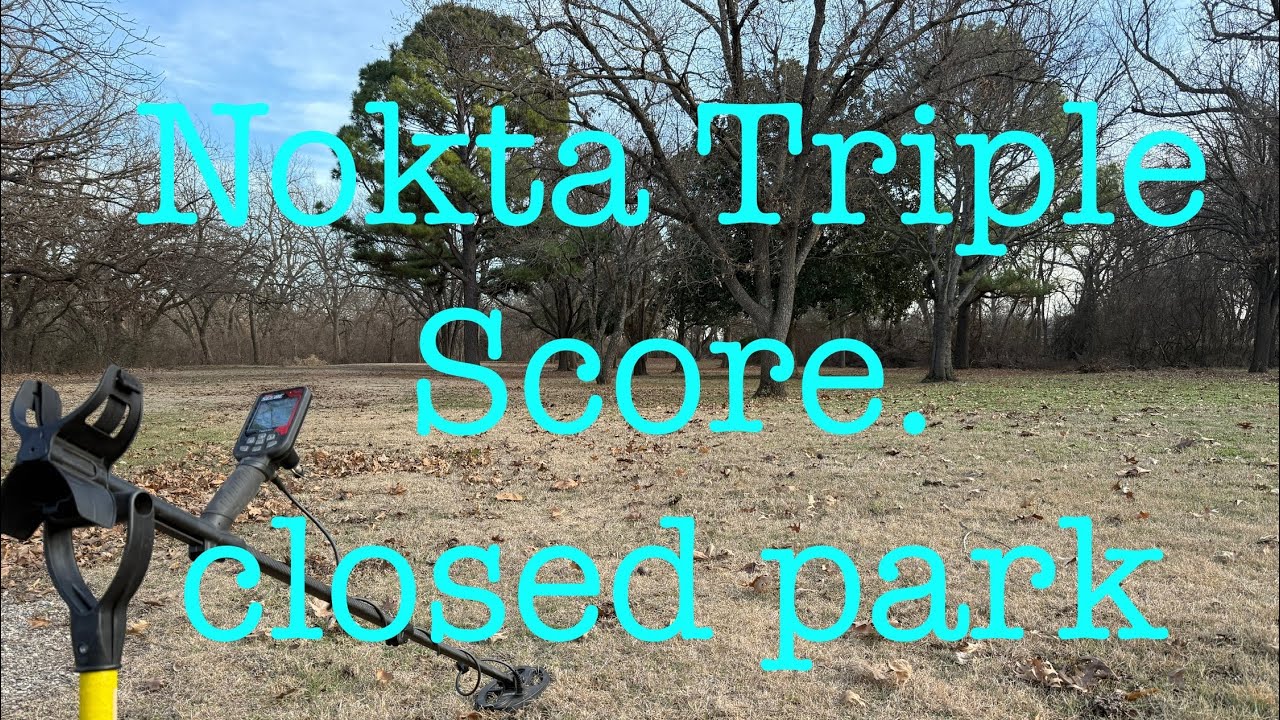 Nokta Triple Score closed park hunt.