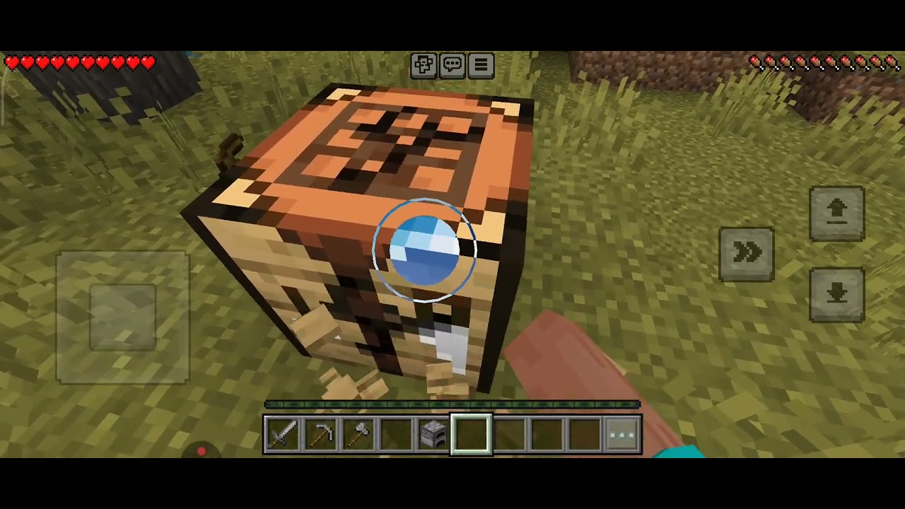 Mi Primer video.