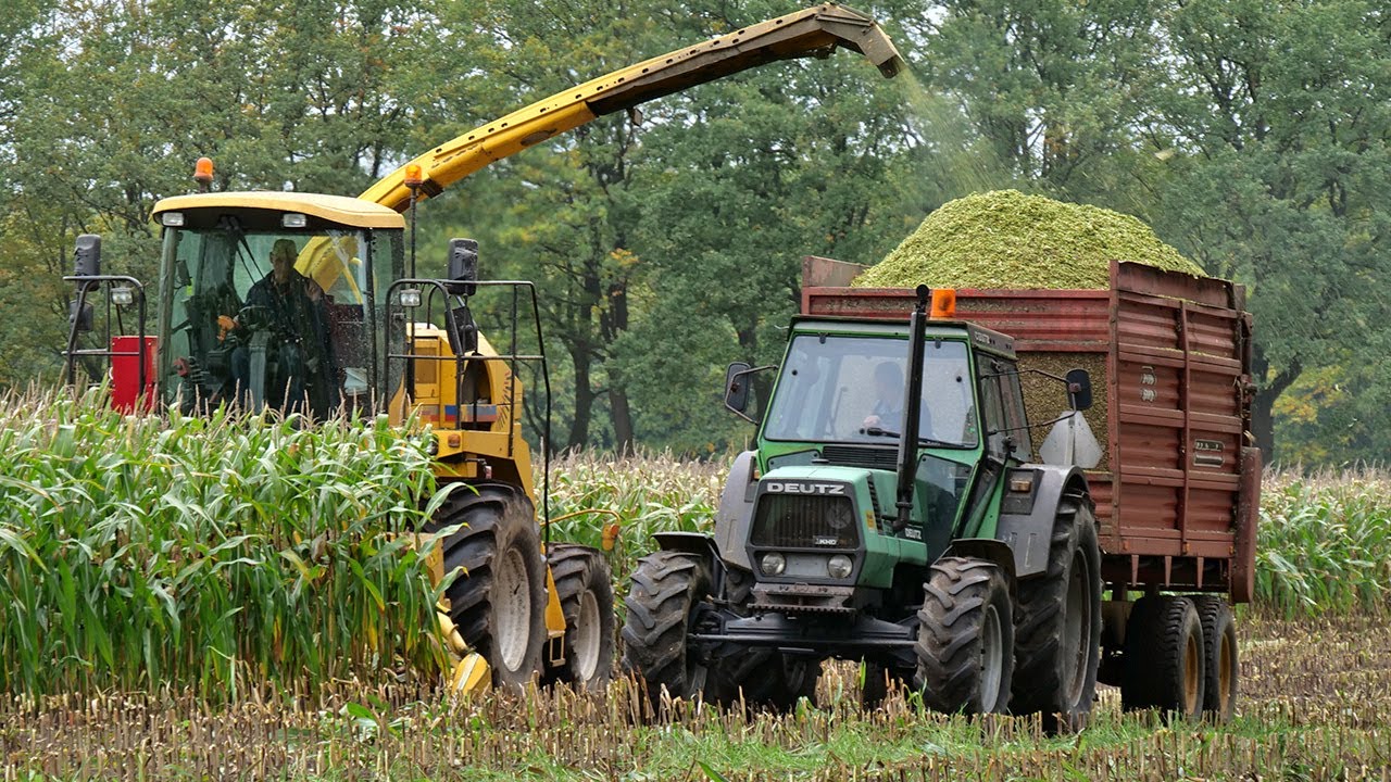 Youngtimers Harvesting maize - Deutz DX120 and more! - Mais hakselen - Wentink