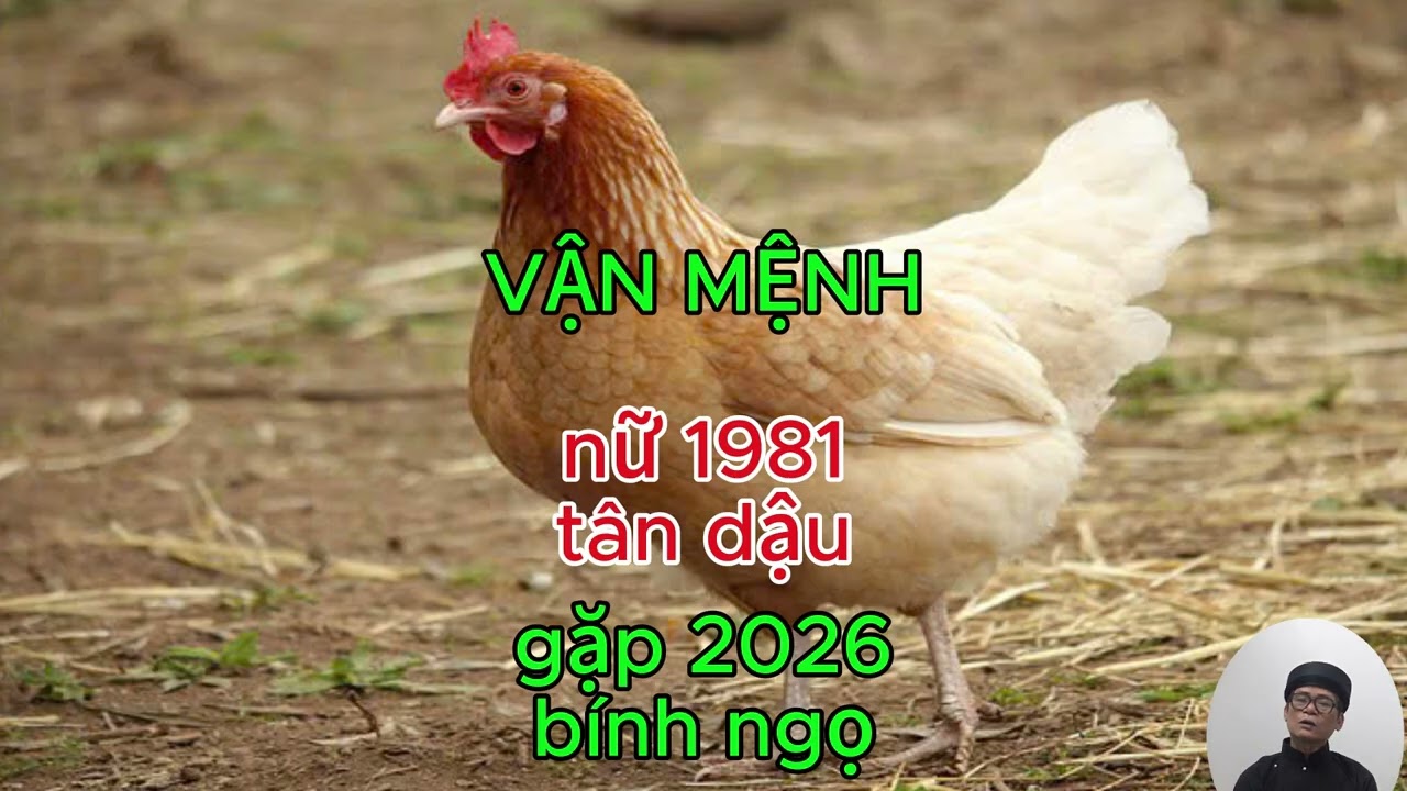 TỔNG QUAN TỐT XẤU NỮ TÂN DẬU 1981 gặp 2026