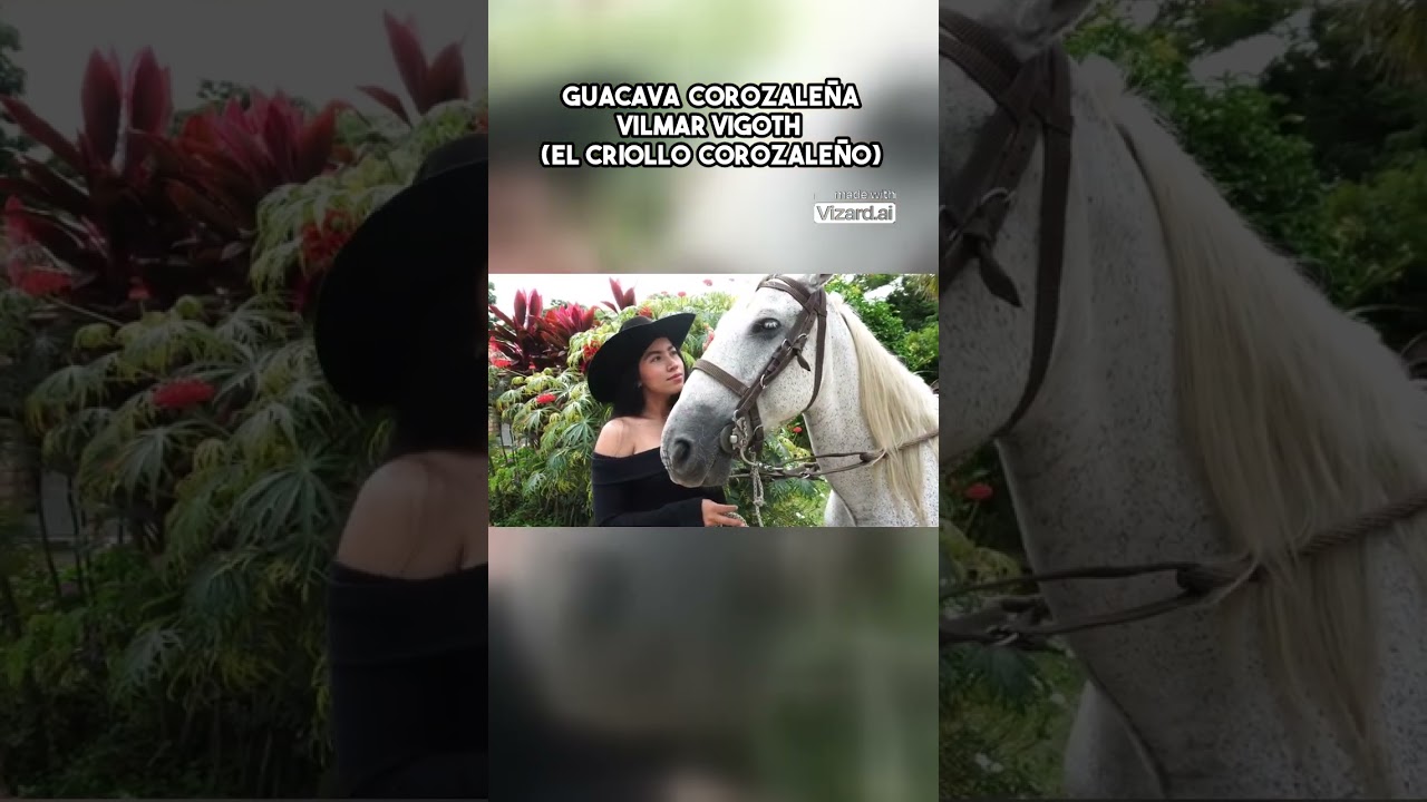#M&uacute;sicaCriolla #Corozal #RitmosLlaneros #Tradici&oacute;nYModernidad #ArtistaEmergente #M&uacute;sicaParaElAlma