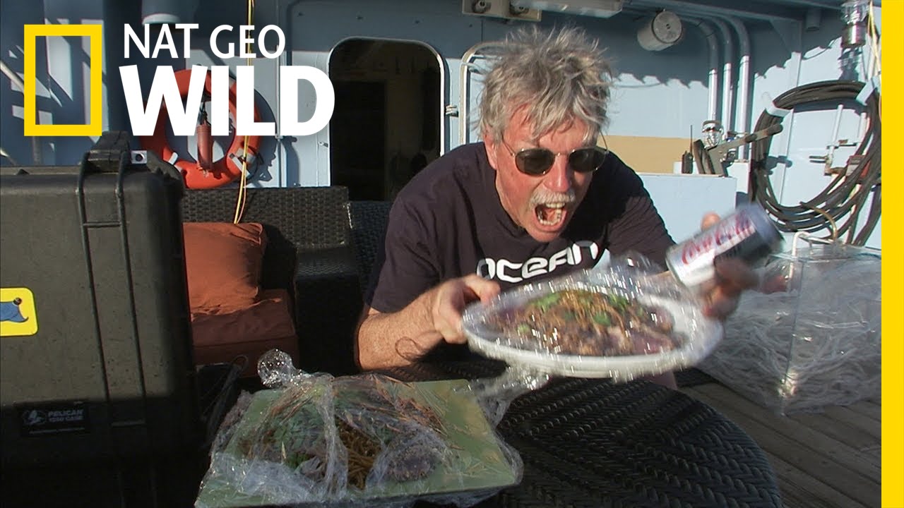 Sashimi for Everyone | Shark Men