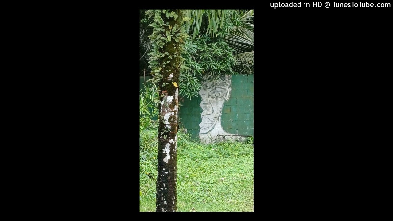 Lapli la ka vine