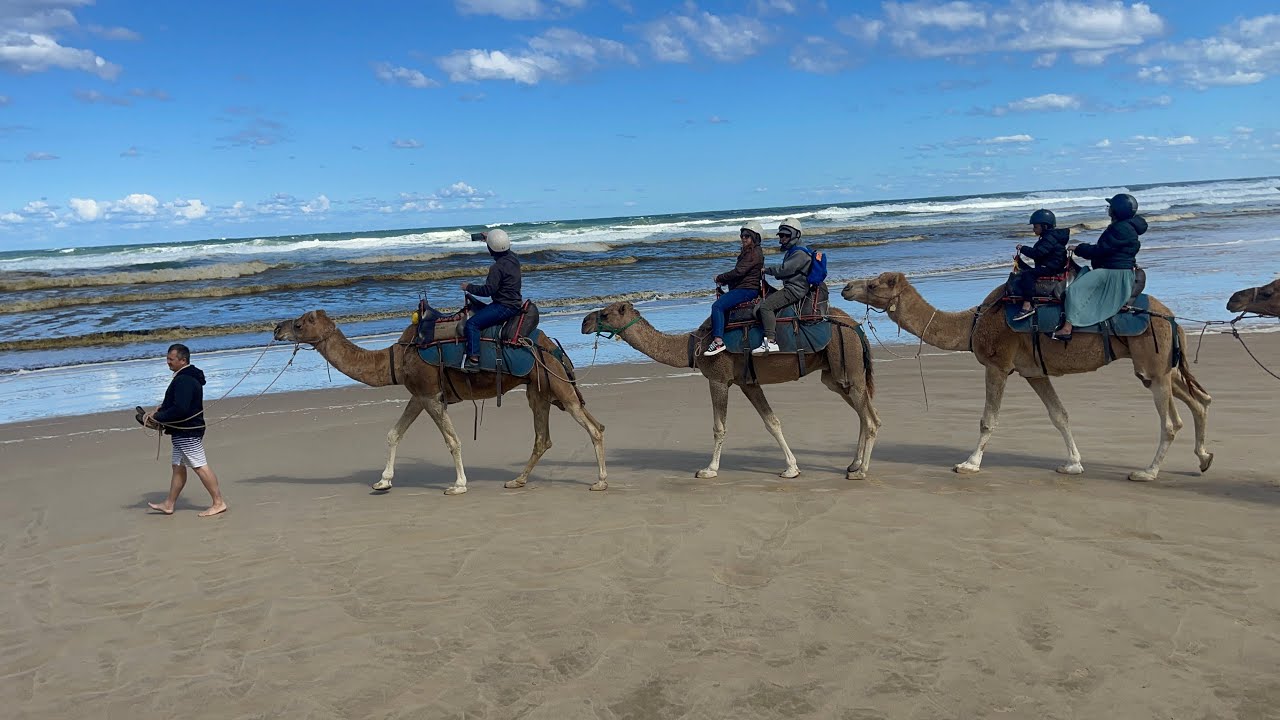 Camel Ride | Birubi Beach | Port Stephens