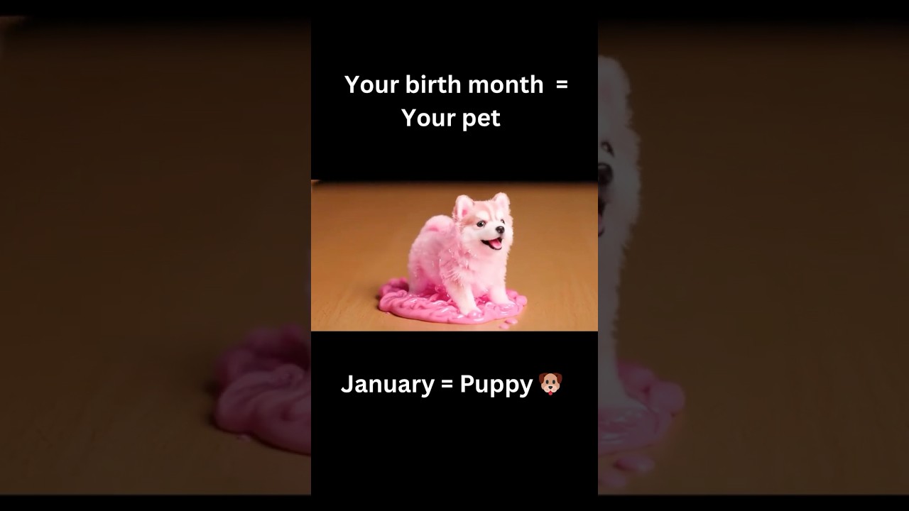 【ASMR】Your birth month = Your pet 🐶🐱🐼🐧 Which one is yours? #asmrsounds​ #oddlysatisfying