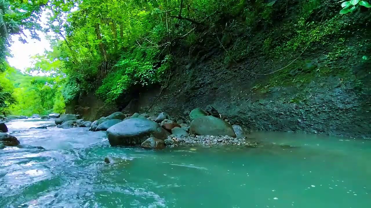 Nature's Calm - Sleep Like a Baby – This Forest Stream Sound Is a Total Game Changer - Deep Sleep