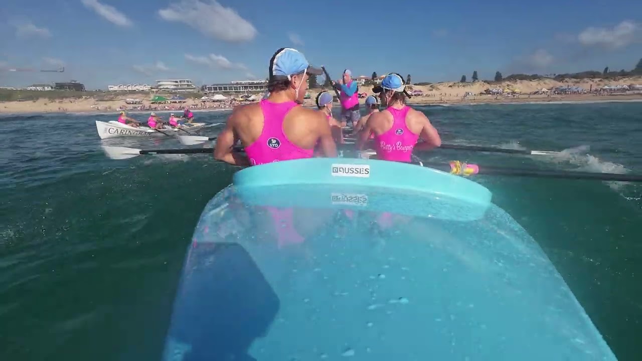 Stingrays elouera 1