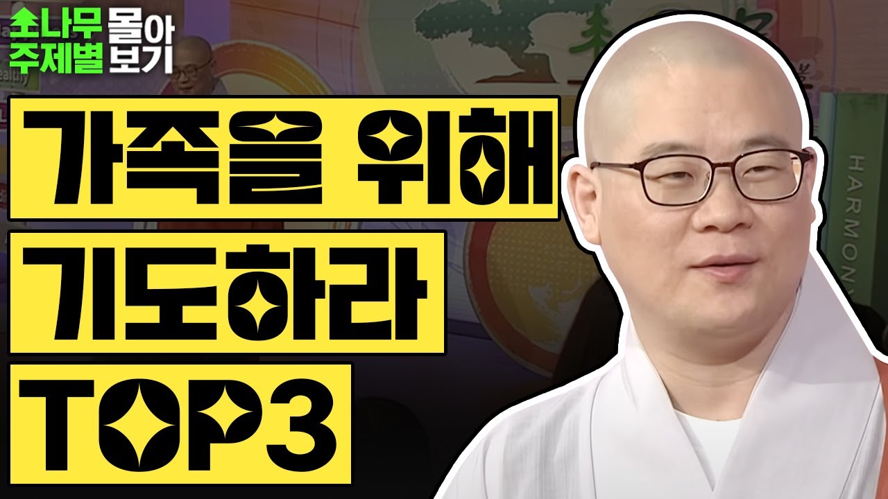 가족을 위해 기도하라 Top3✨  [광우스님 소나무 주제별 몰아보기]