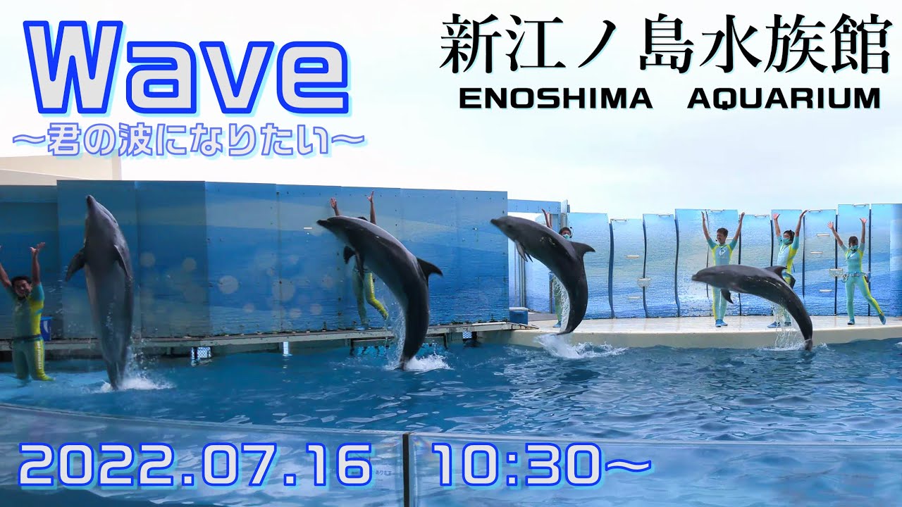 ◆えのすい　Wave～きみの波になりたい～（2022．07．16）10：30 ～◆本日からの新イルカショー第1回目【新江ノ島水族館】【4K60P】