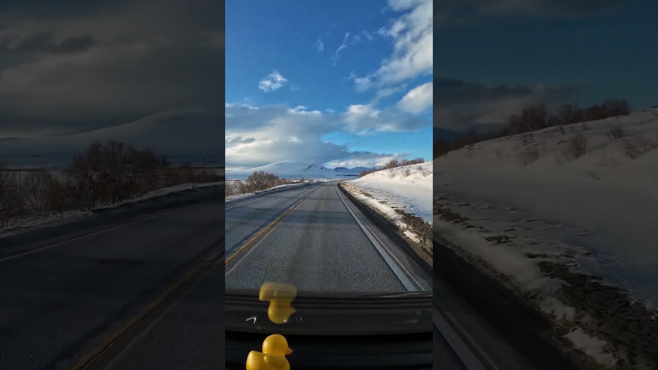 driving through #dovrefjellet