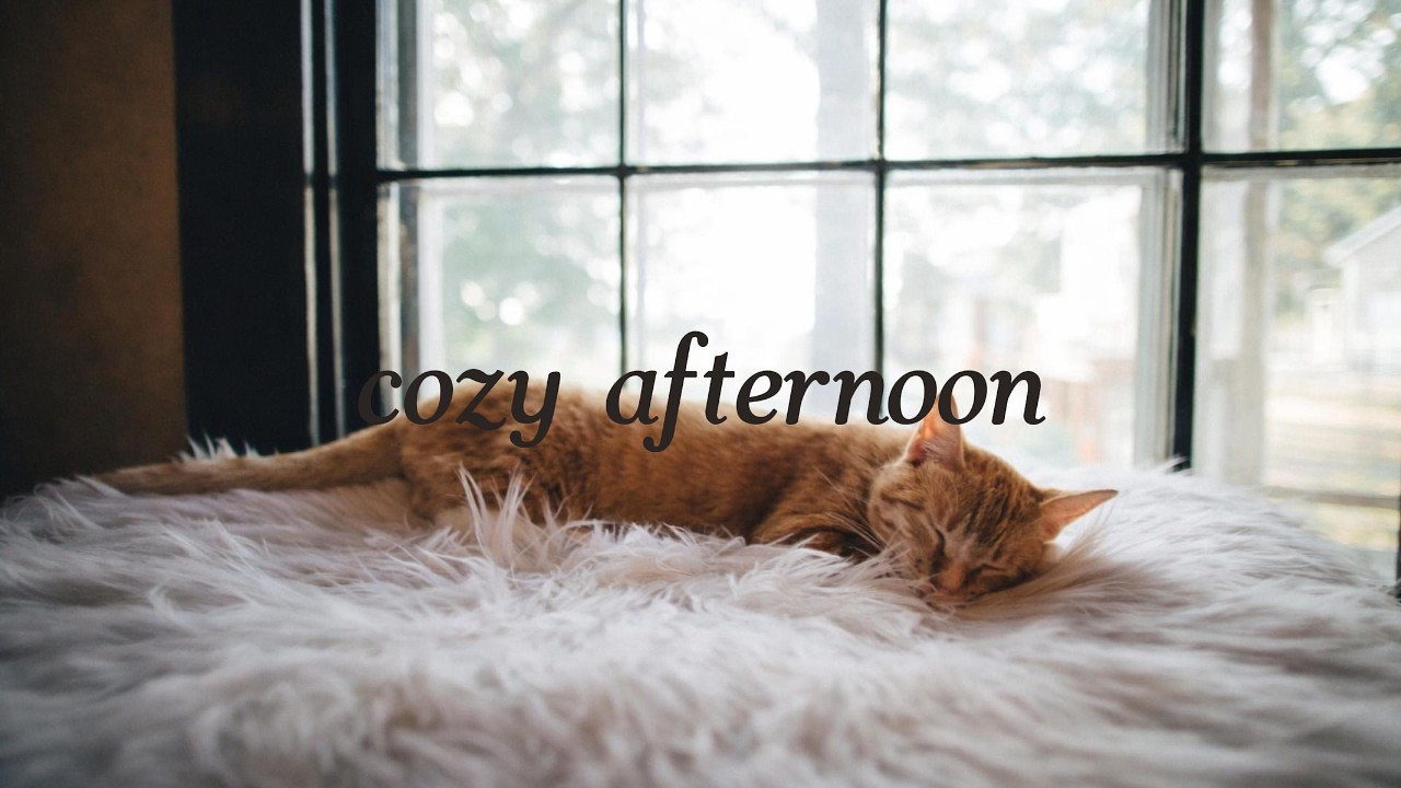 cozy afternoon | piano playlist for reading, writing & study
