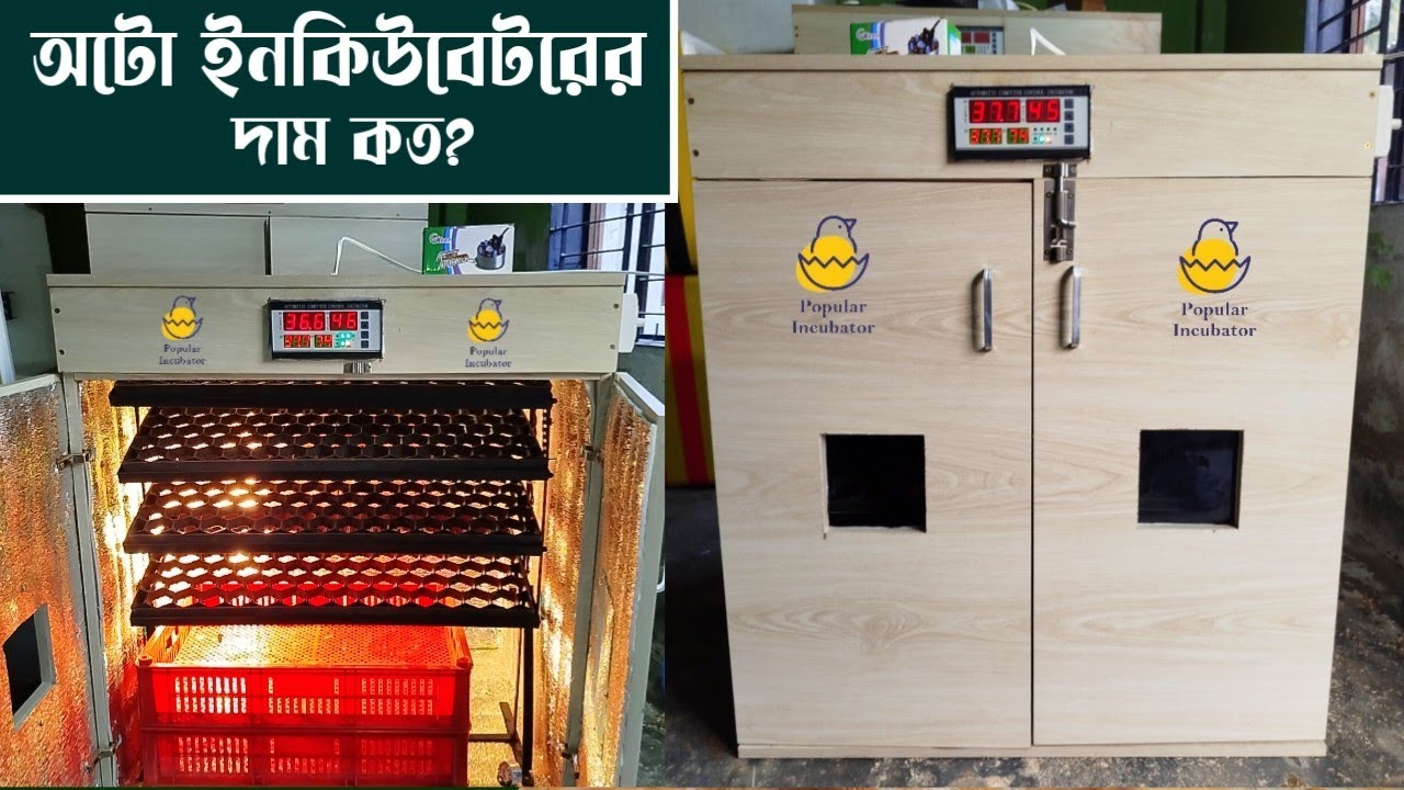 অটো ইনকিউবেটরের দাম কত? জেনে নিন Auto Incubator Price in Bangladesh - Popular Incubator