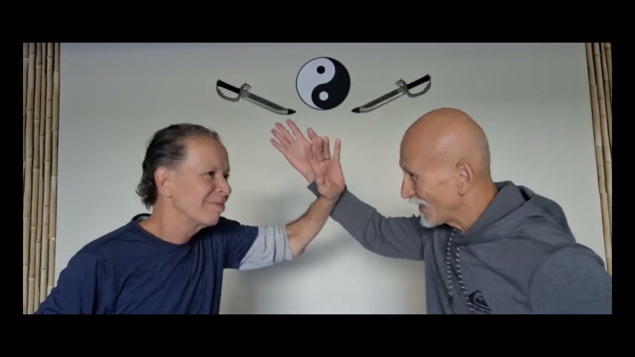Wing Chun Kung Fu Secret Strike That's Not Meant To Land