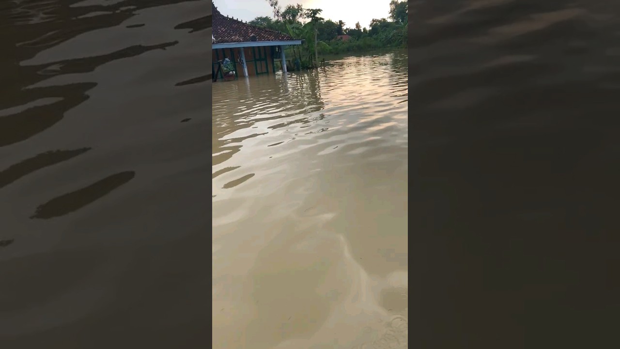 Beginilah Kondisi Banjir Gempolsari, Gabus. 