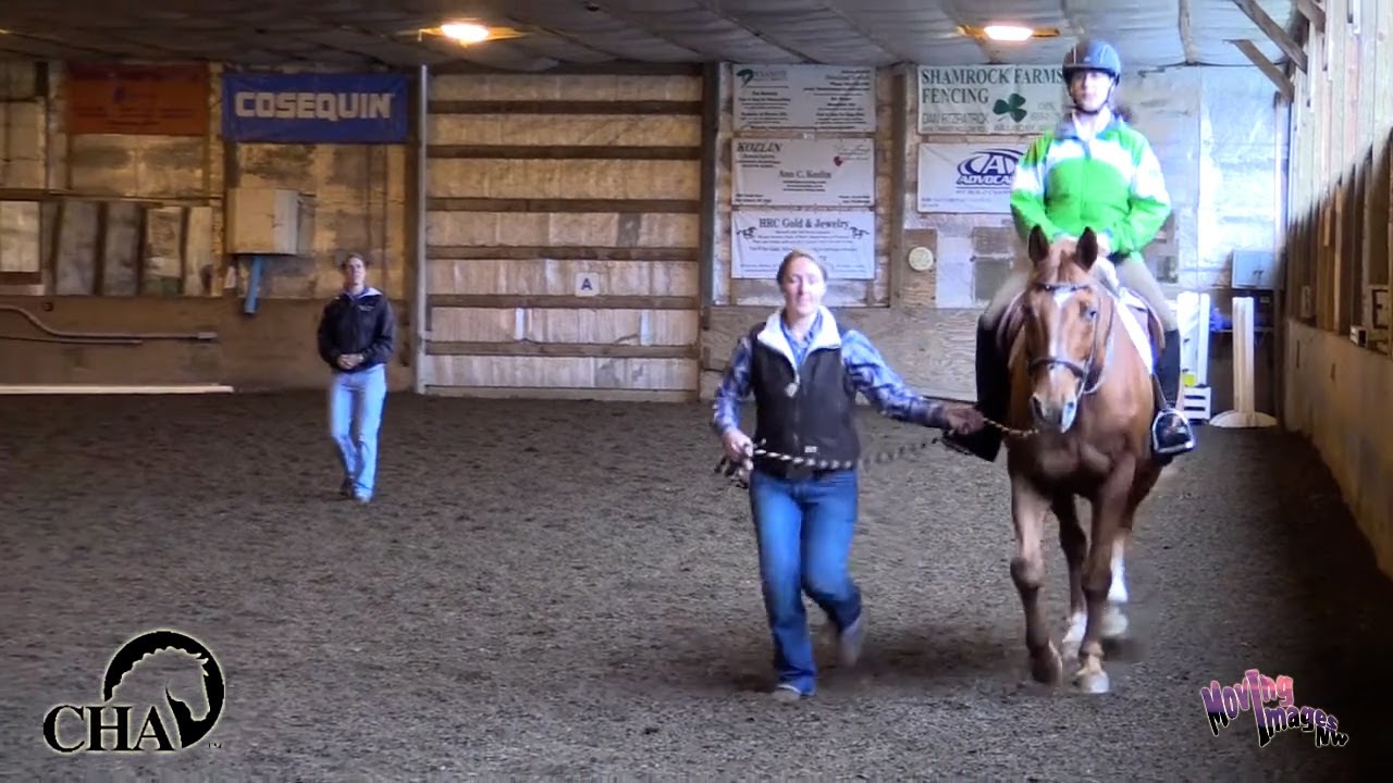 Sample Lesson on First Trot with Andrea Boone