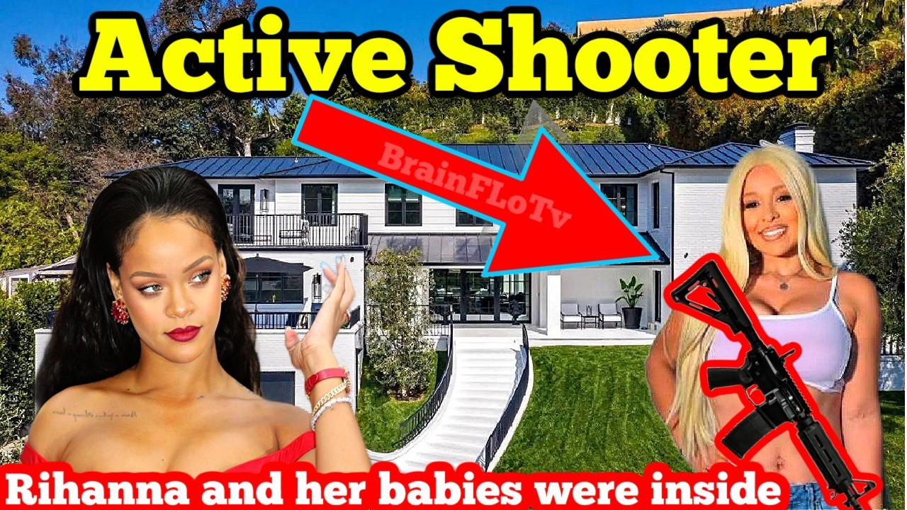 Rihanna Mansion Shot Up by Christian Influencer with Her and Babies Inside