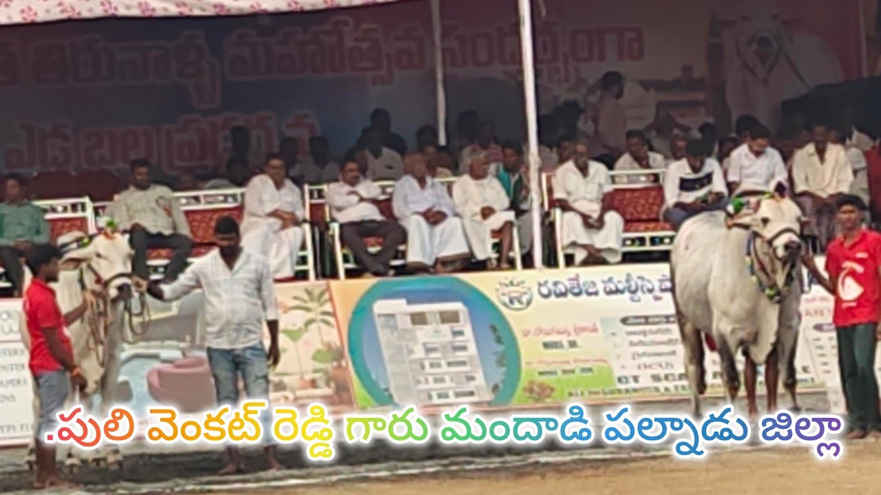రెంటచింతల న్యూ కేటగిరి 11వ..పులి వెంకట్ రెడ్డి గారు మందాడి పల్నాడు జిల్లా.