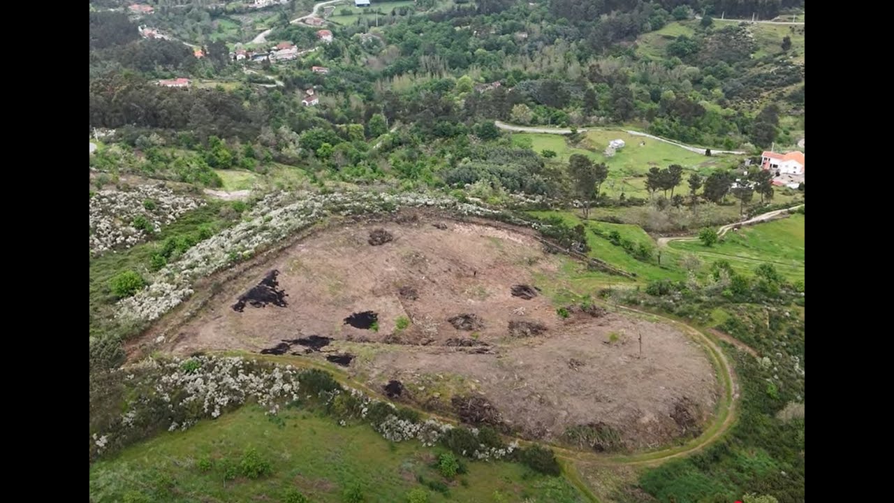 Planting a heart shaped vineyard