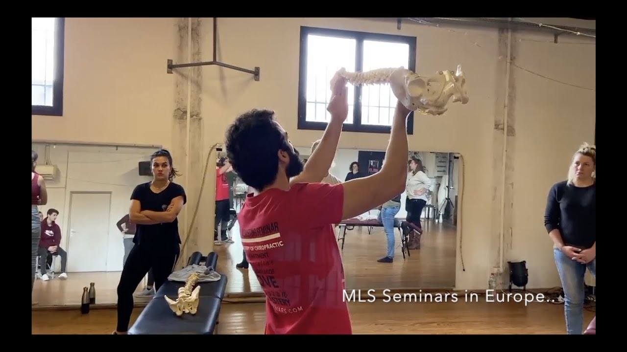 MLS Seminars Europe: Serve the Exceptional Chiropractic Experience