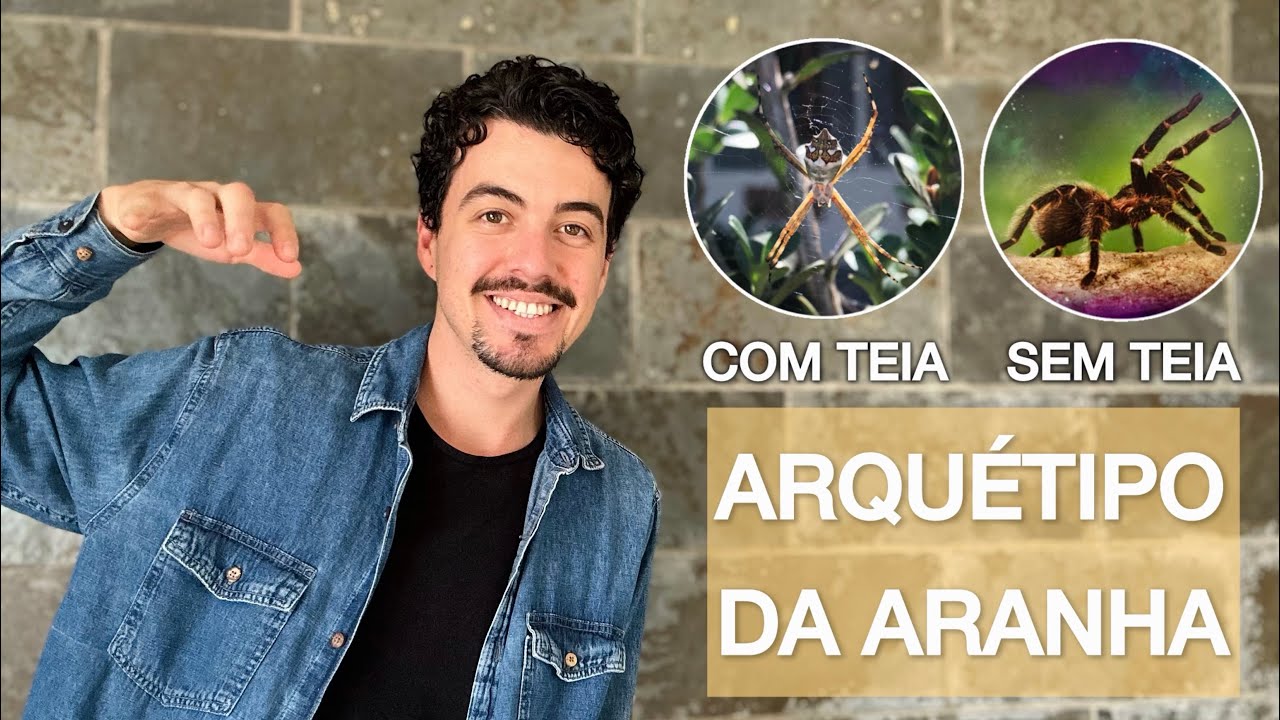 Arquétipo da Aranha | COM TEIA vs SEM TEIA | Organização - Ação - Independência
