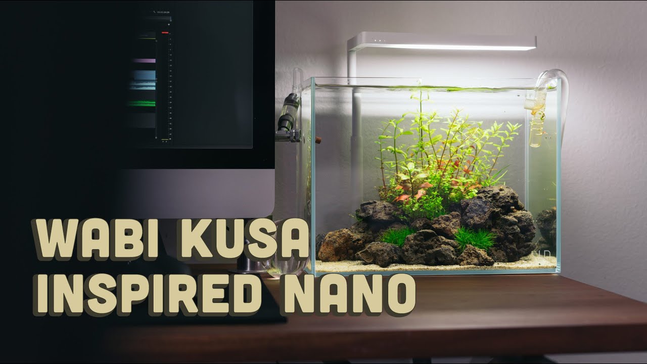 3 Gallon Ultum Nature Systems 3T Tall Nano Aquarium Setup - Wabi Kusa Inspired