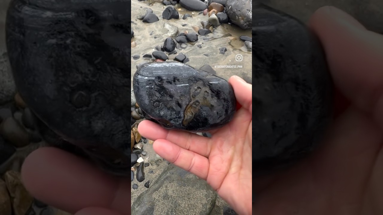 Absolute giant black waterline agate 😮🖤