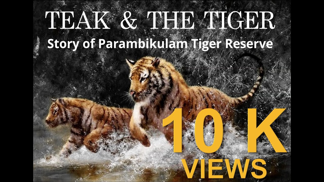 Teak and the Tiger