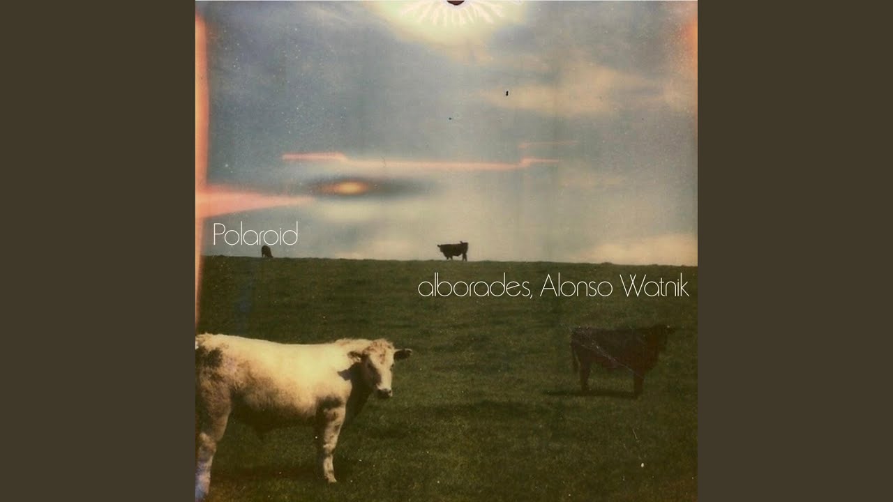 Polaroid (feat. Alonso Watnik)