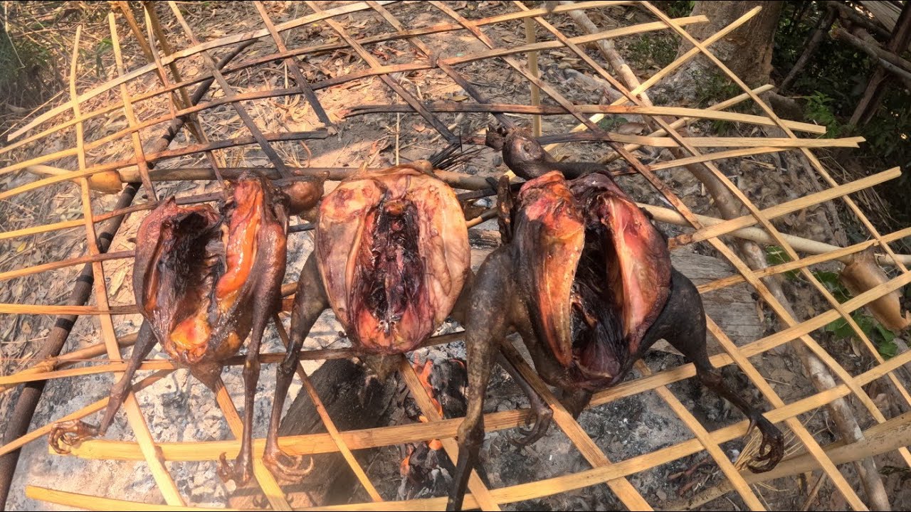 ได้อาหารป่าไปฝากสาวน้ำอ้อยแล้ว3 เมษายน ค.ศ. 2026