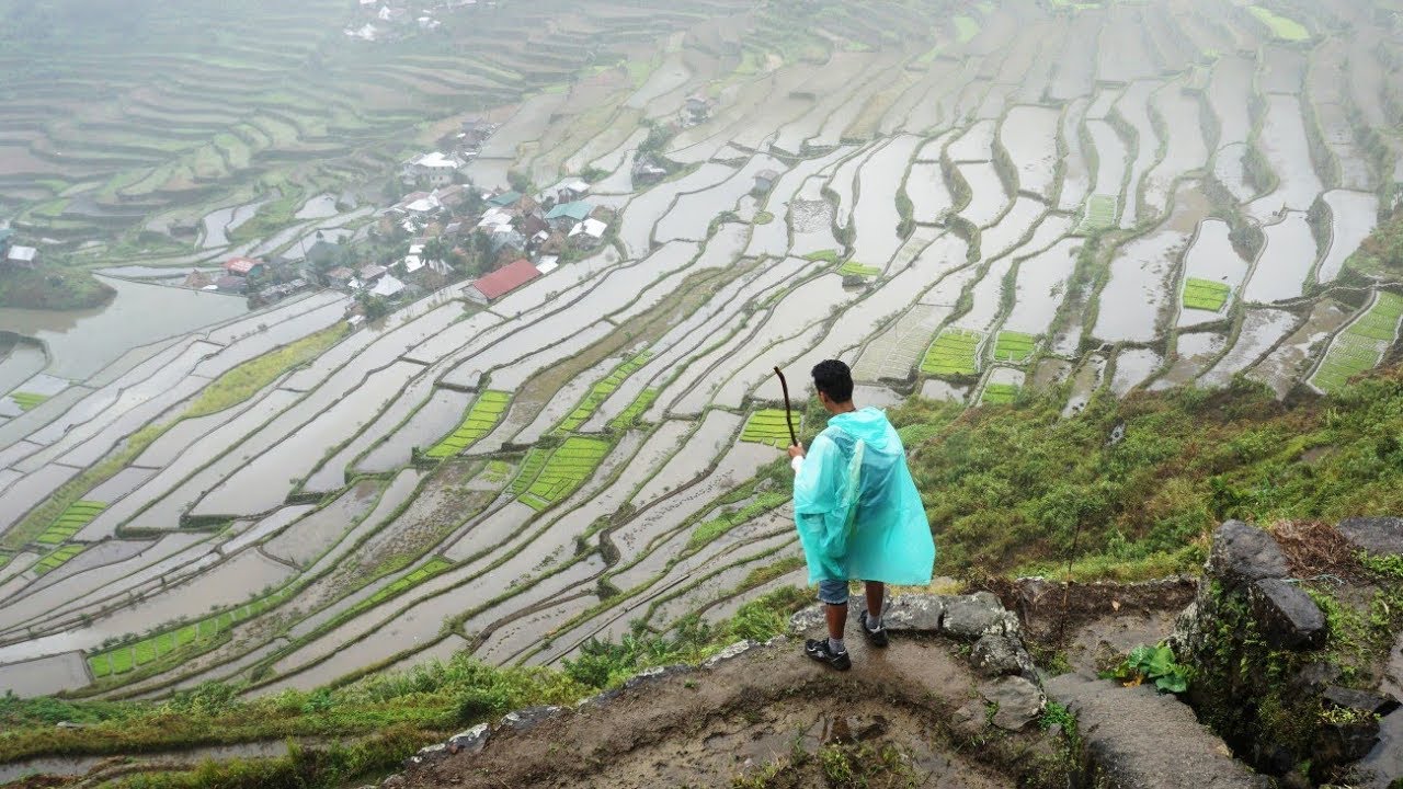 Philippines / Best of Ifugao trek - Banaue, Cambulo, Batad, Talboc, Guinihon