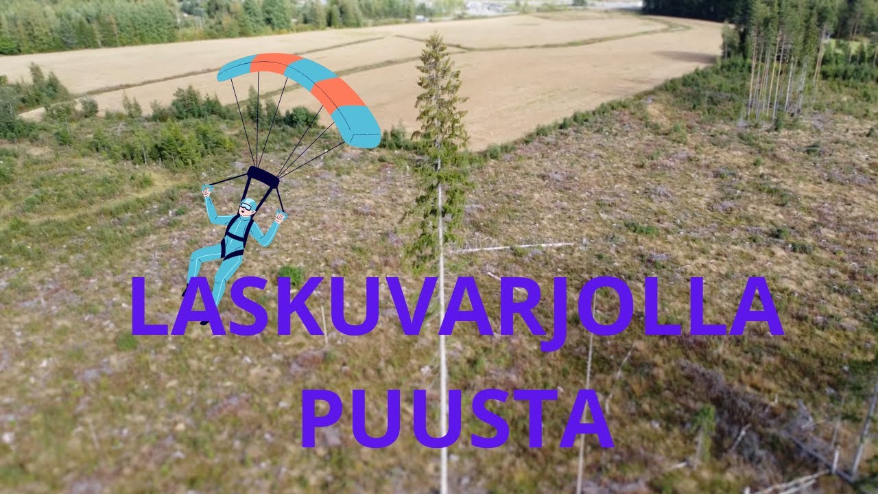BASE-HYPPY PUUSTA