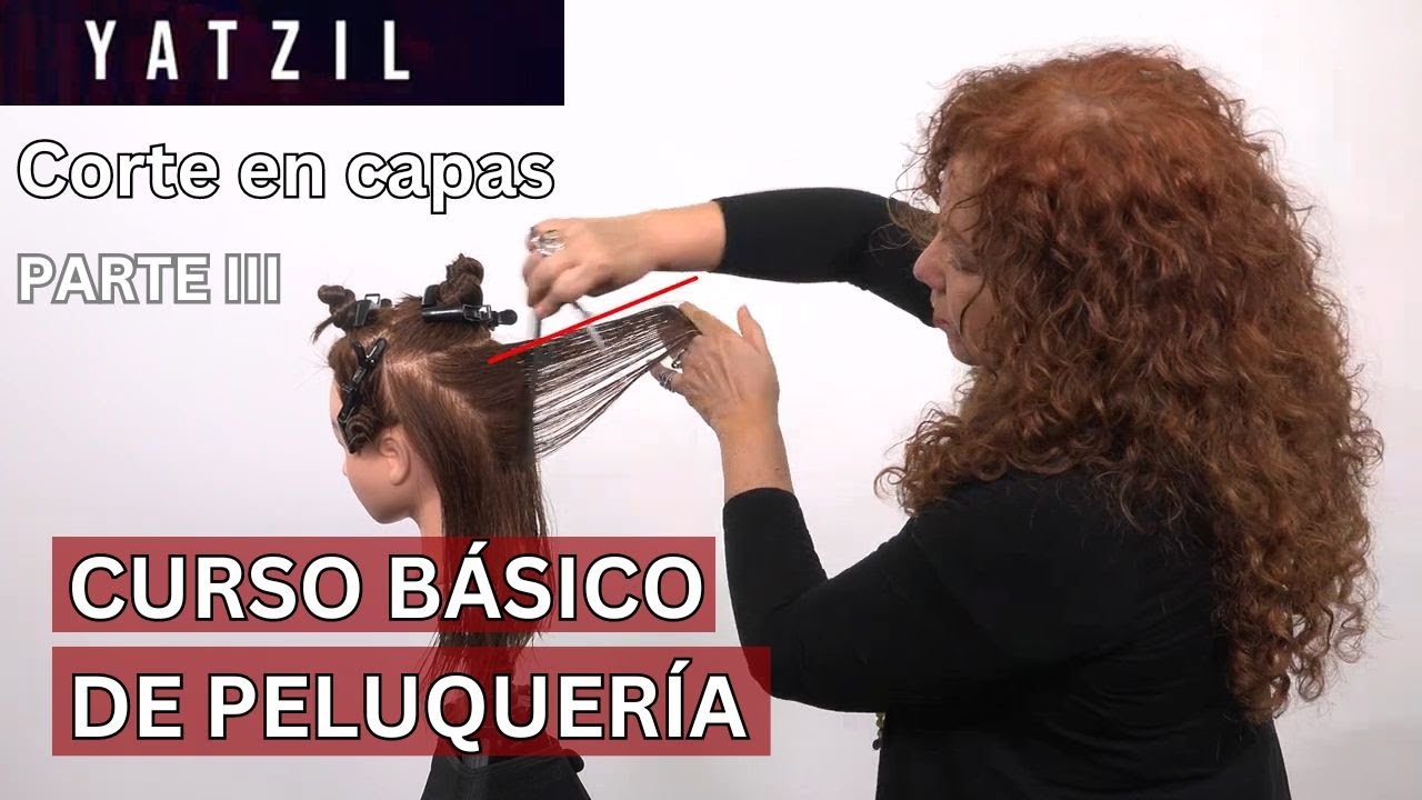 ✂️👩 PASO A PASO de corte de cabello en capas - Curso de peluquería. Tutorial para principiantes